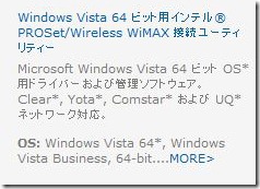 20100205wimax24