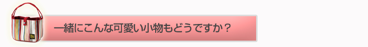 カメラ女子用カメラバッグプチ