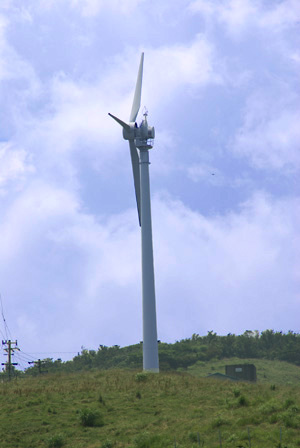 windmill2.jpg