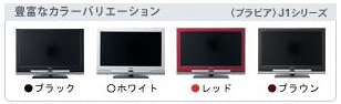 0221bravia5.jpg