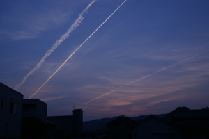 0503aozora2.jpg
