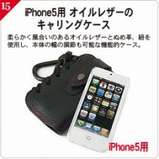 20120921iphone5case1_15