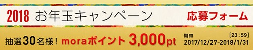 お年玉2018_応募フォーム