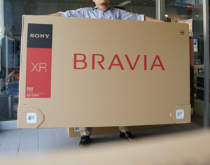 20081004bravia2.jpg