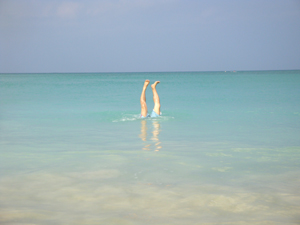 20081028hawaii04.jpg