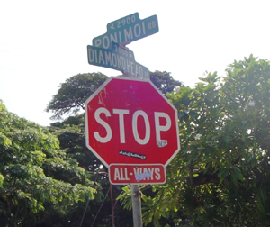 20081029hawaii2.jpg