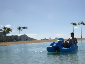 20081109hawaii1.jpg