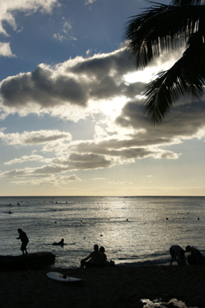 20081109hawaii5.jpg