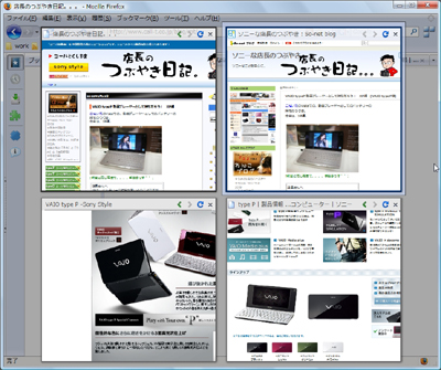 20090214firefox1.jpg