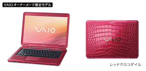 20090407newvaio07.jpg