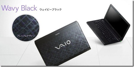 20100928newvaio13