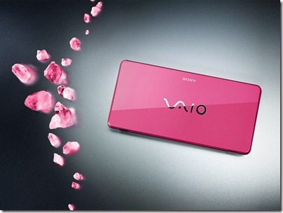 20100118newvaio7