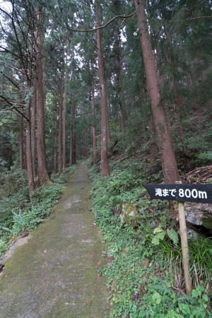 DSC00072