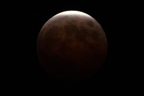 1919iso12800