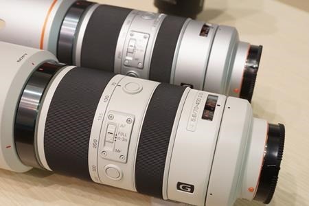 Gレンズ「SAL70400G2（70-400mm）」で、鳥とわんこを撮影してみたっ