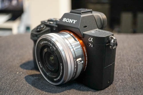 α7シリーズに、おすすめなAPS-Cレンズ=マクロレンズ。 | 店長の α7シリーズに、おすすめなAPS-Cレンズ=マクロレンズ。 | 店長の