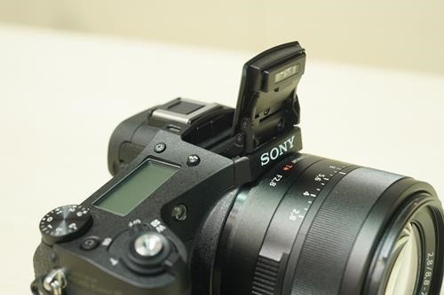 SONY RX10    24-200㎜ F2.8