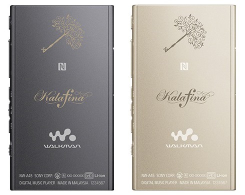 Product_600_450_kalafina_NW-A40HN_B