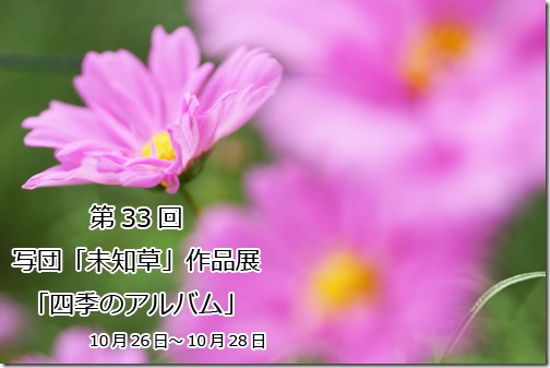 DSC053872