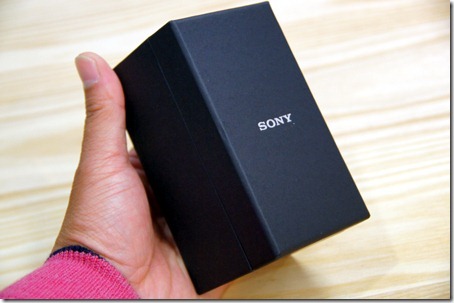 SONY DSC                       