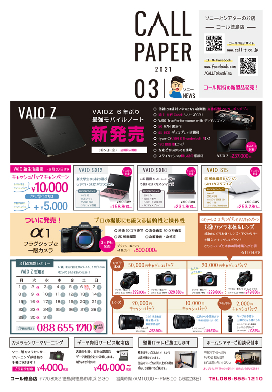 3月毎月チラシソニー情報