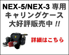 NEX-5/NEX-3専用キャリングケース