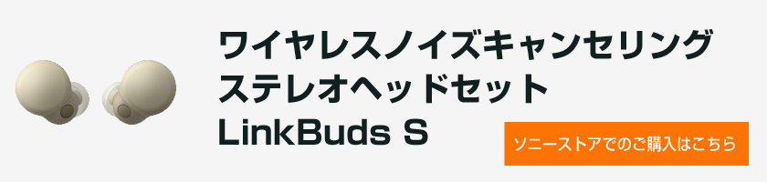 ソニーストアで見る