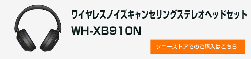 ソニーストアで見る
