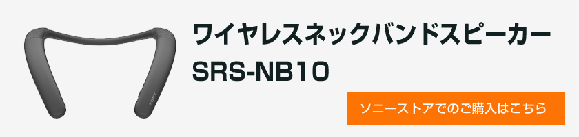 ソニーストアで見る
