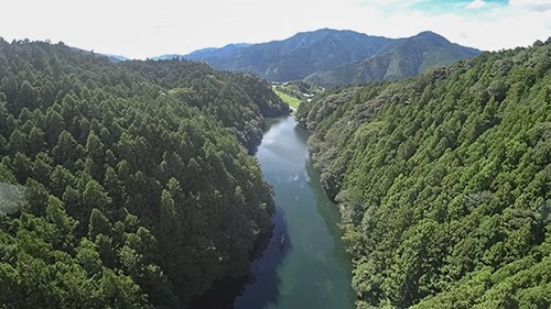 DSC00030