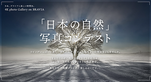 SnapCrab_4K photo Gallery on BRAVIA  テレビ ブラビア  ソニー - Google Chrome_2020-1-9_17-43-49_No-00