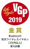 vgp2019_logo_WF-SP900