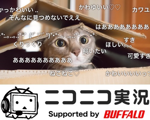 niconico_buffalo