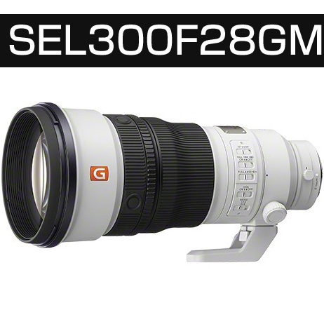 SEL300F28GM