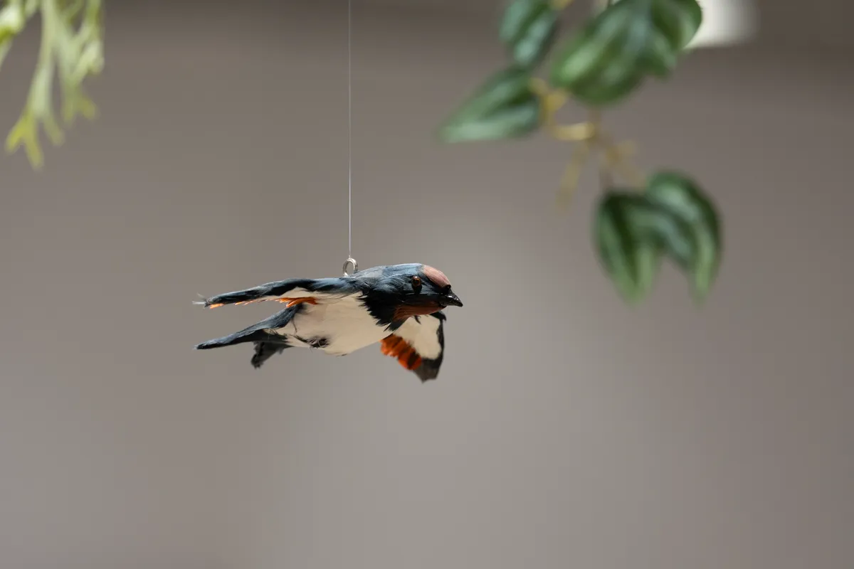 FE 100-400mm F4.5 GM OSS 鳥撮影