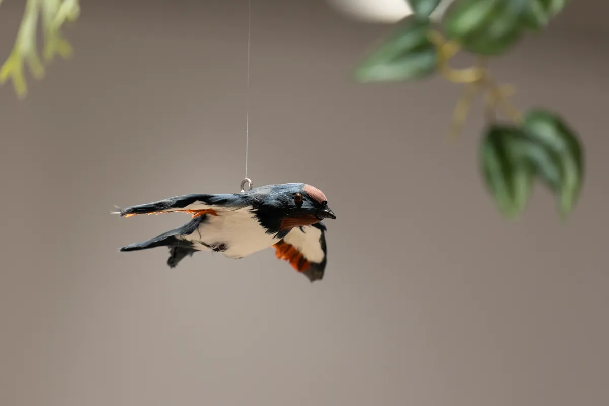 FE 400mm F4.5 GM OSS 鳥撮影
