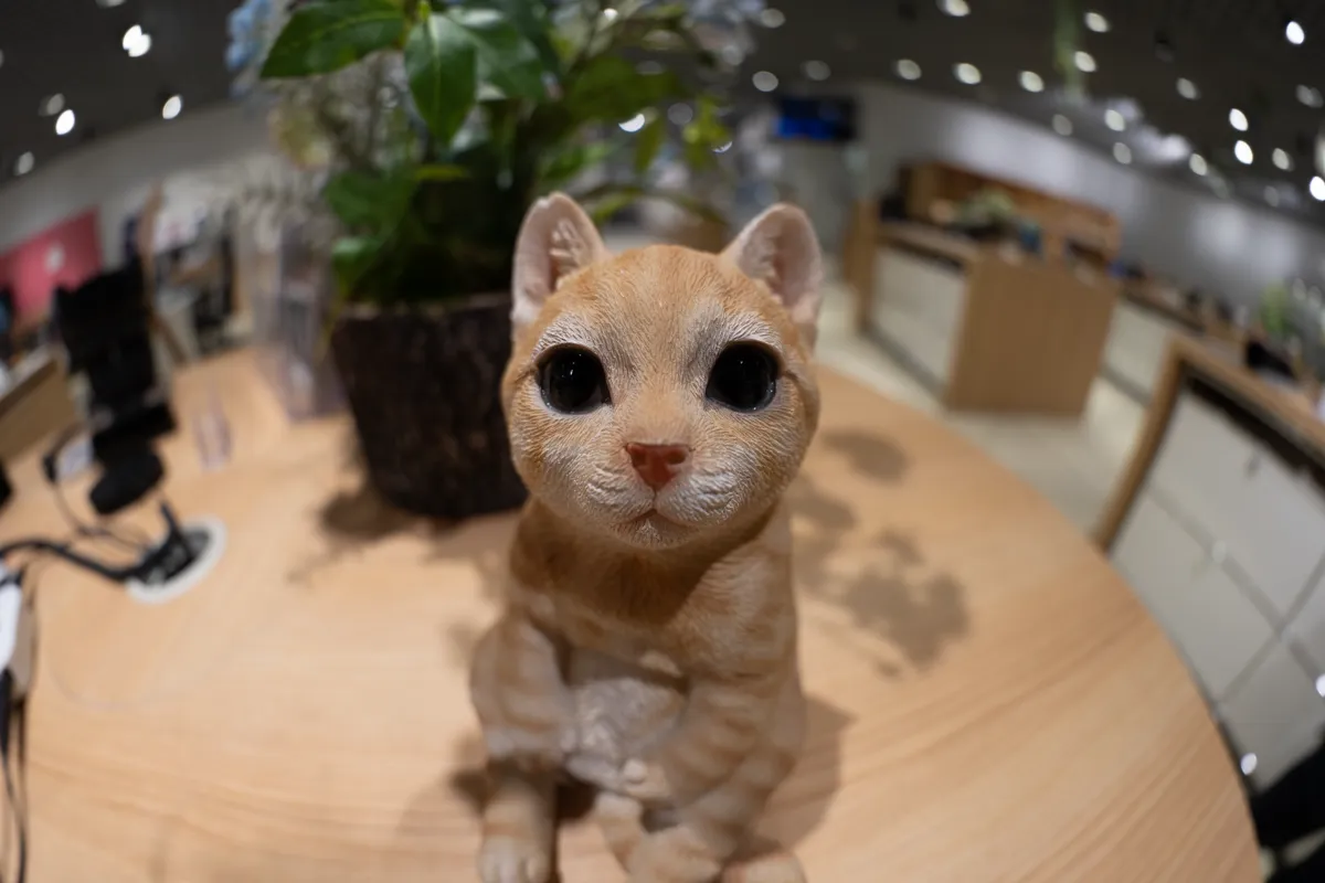 FE 8-14mm F3.5 Fisheye G