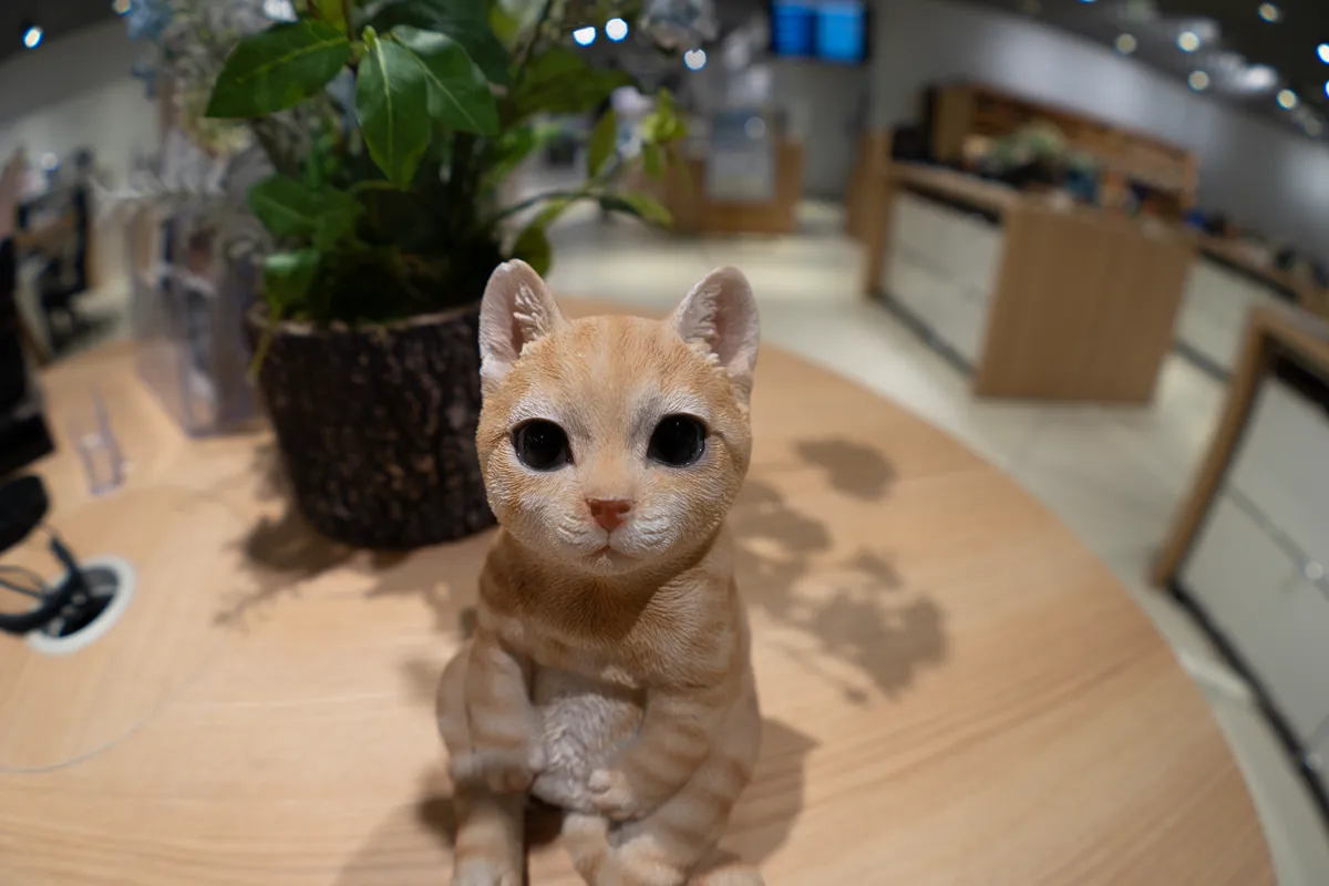 FE 28mm F2 ＋ SEL057FEC（専用フィッシュアイコンバーター）
