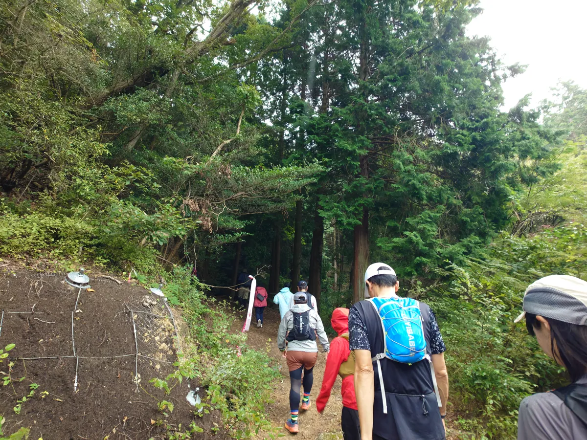 ほどなく走ると、、、あぁ、山道