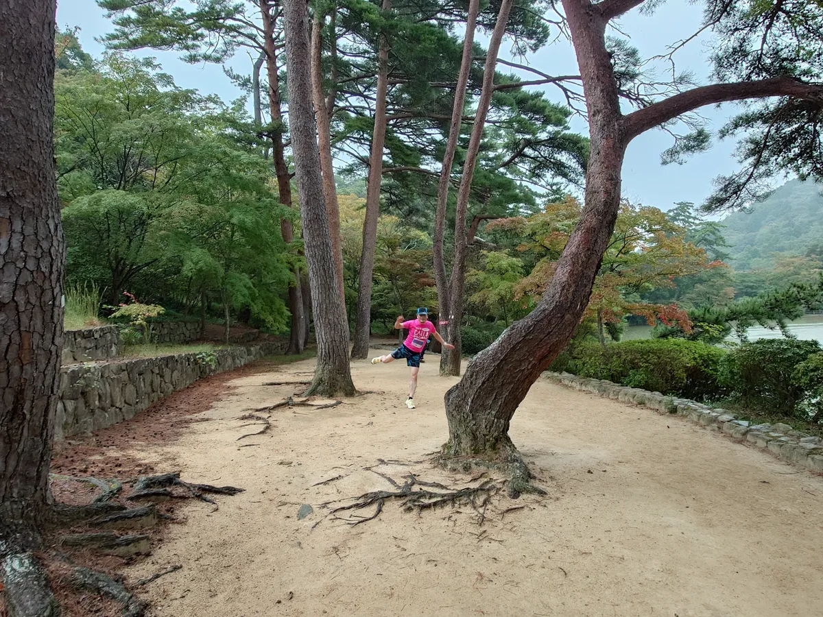 走りやすい路面