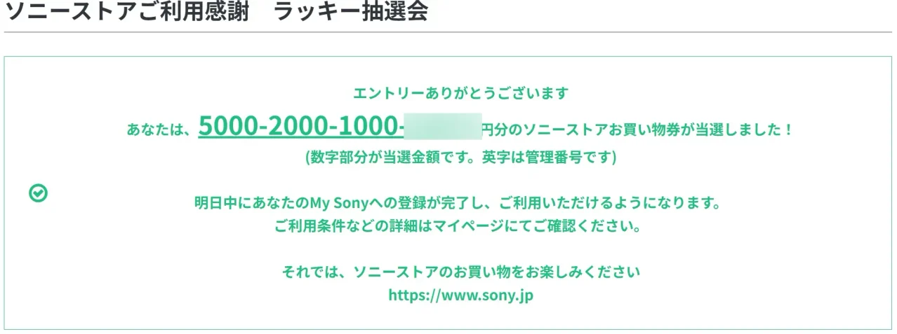 ソニーストア
